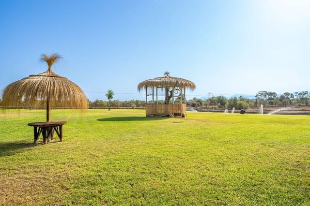 4 soveværelse Villa til salg i Ca'n Picafort, Santa Margalida med swimmingpool garage - € 1.999.900 (Ref: 9359561)