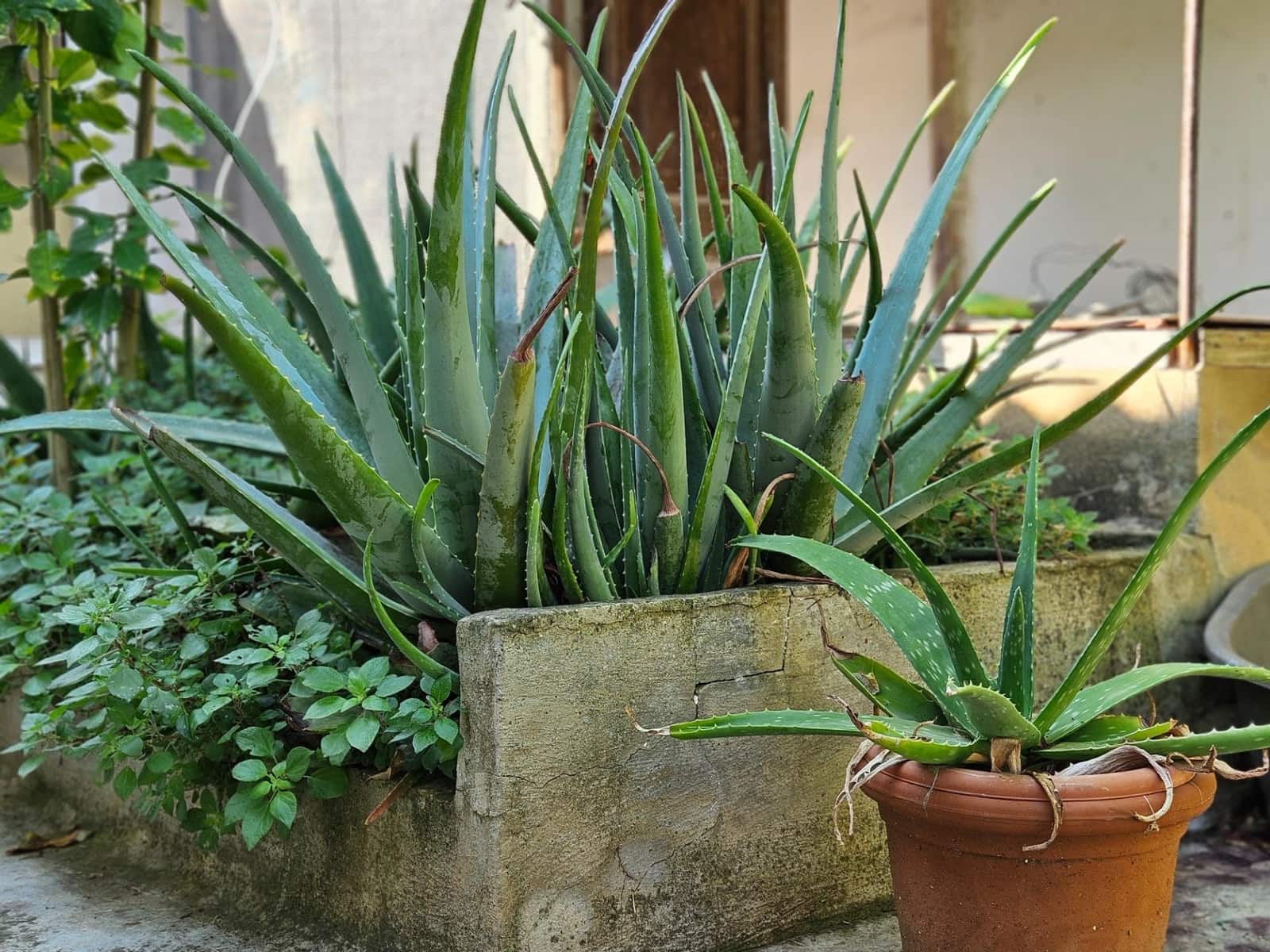 3 soverom Rekkehus til salgs i Palma de Mallorca - € 395 000 (Ref: 9406818)