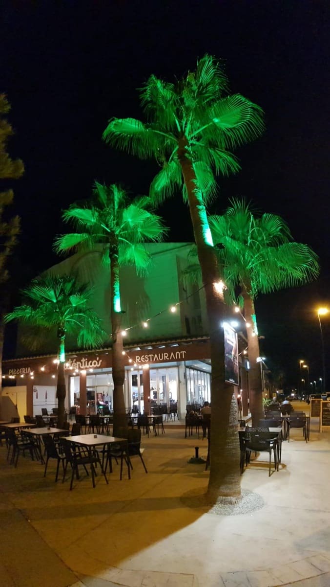 Commercial for rent in Alcudia - € 1,700 (Ref: 9440090)