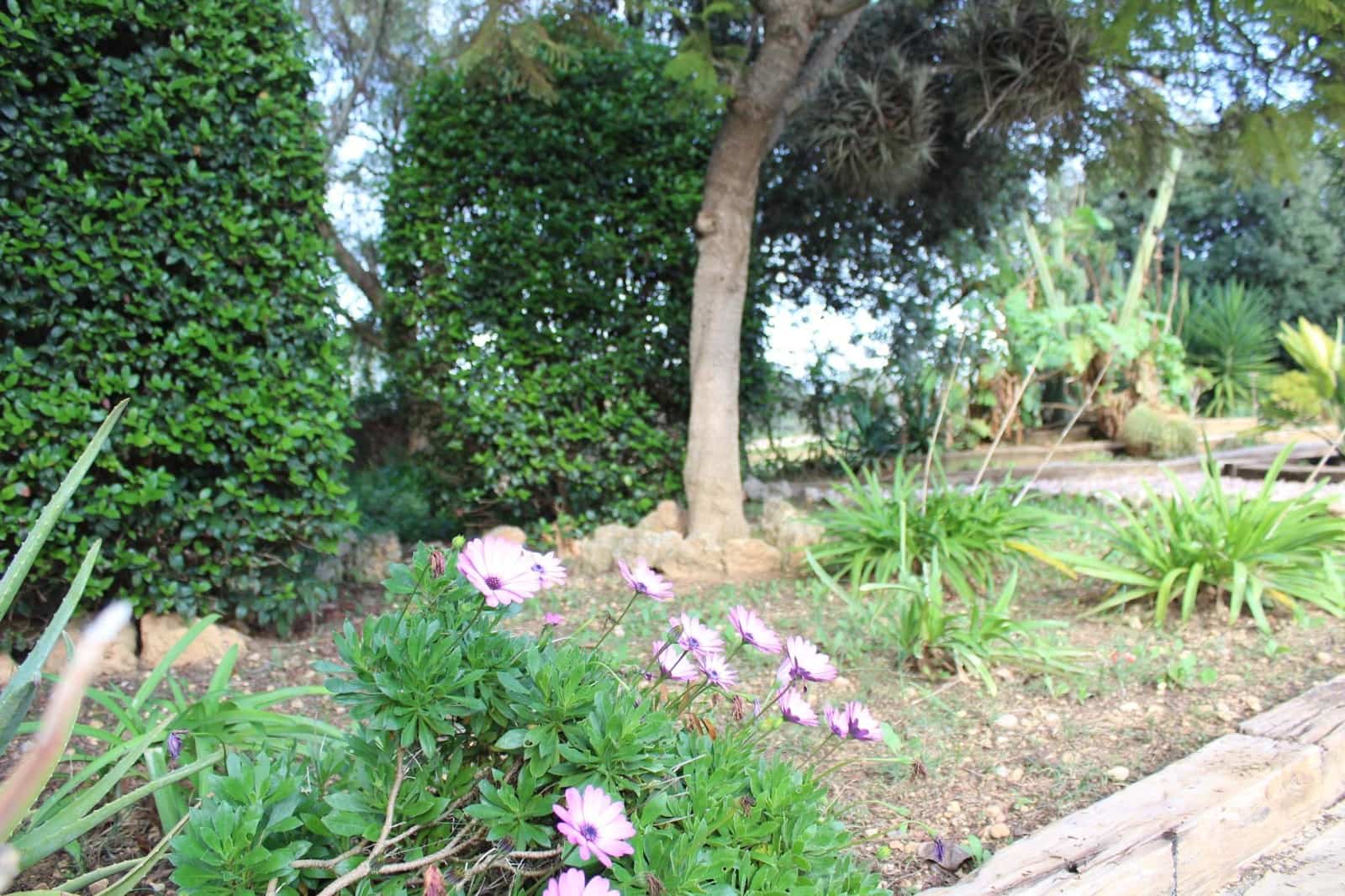 3 Zimmer Villa zu verkaufen in Inca mit Pool Garage - 1.250.000 € (Ref: 9462058)