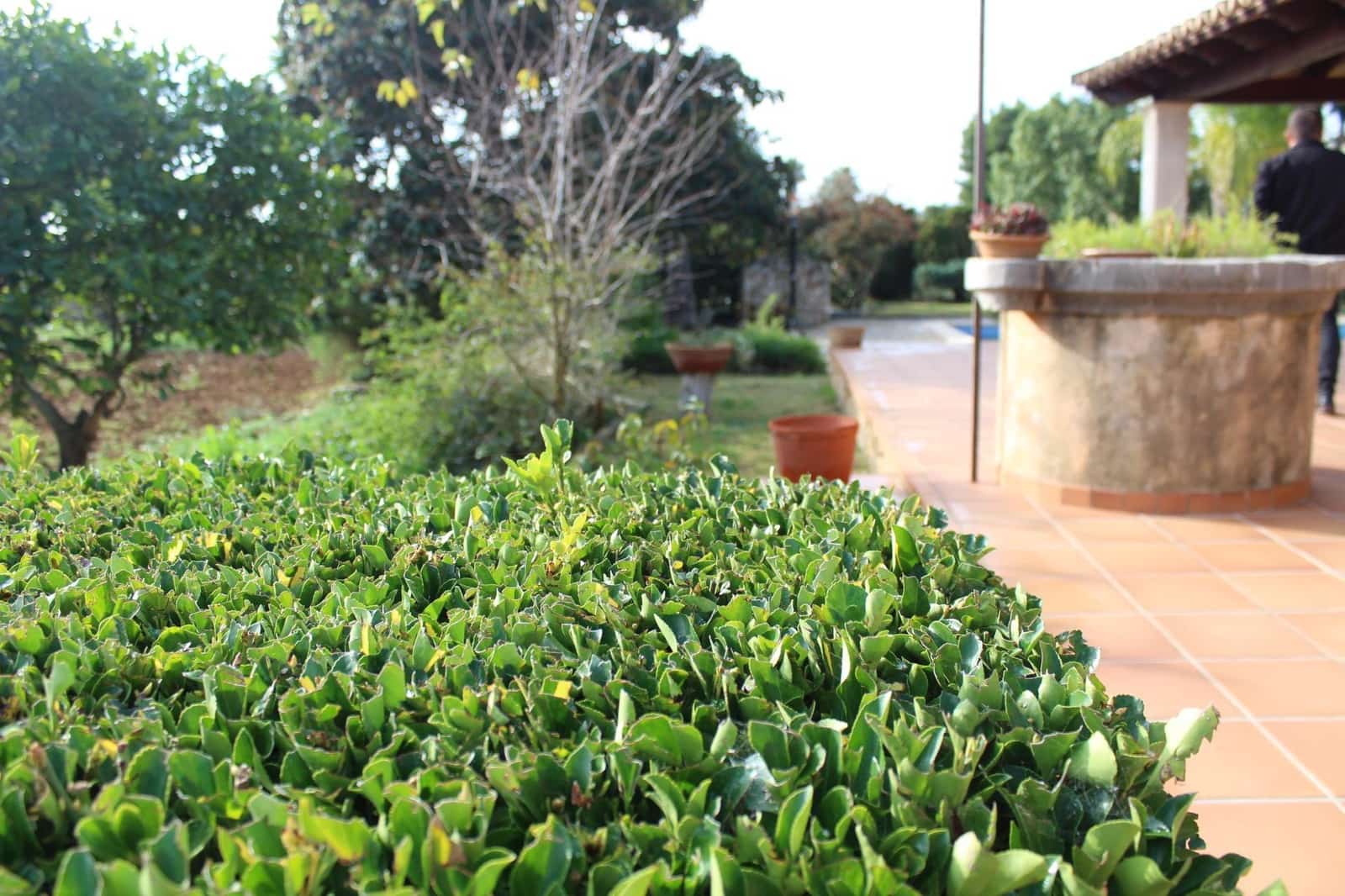 3 soveværelse Villa til salg i Inca med swimmingpool garage - € 1.249.999 (Ref: 9462058)