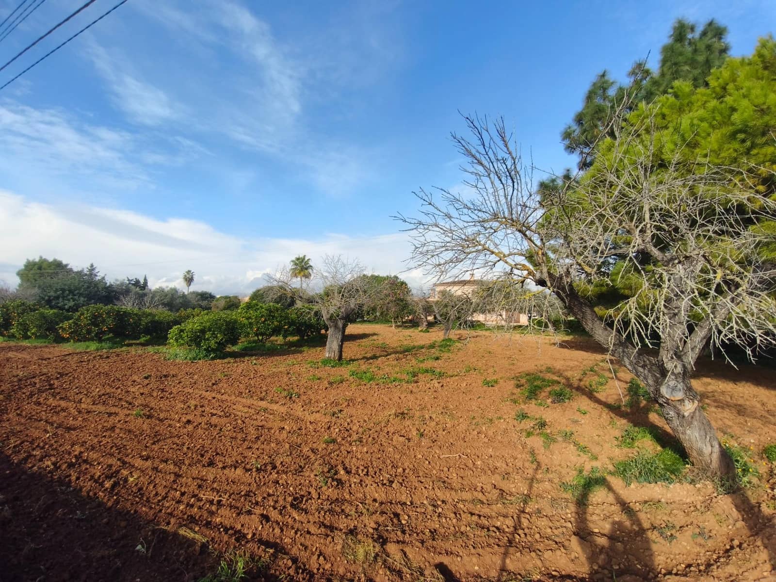 3 bedroom Villa for sale in Inca with pool garage - € 1,249,999 (Ref: 9462058)