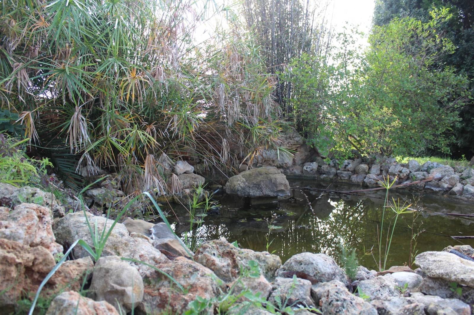 3 soveværelse Villa til salg i Inca med swimmingpool garage - € 1.249.999 (Ref: 9462058)