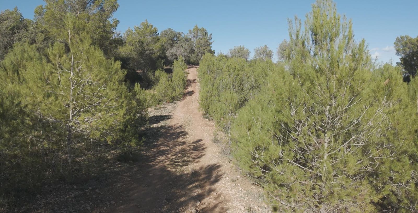 2 bedroom Finca/Country House for sale in Costitx with pool - € 319,900 (Ref: 9462059)