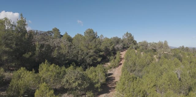 2 Zimmer Finca/Landgut zu verkaufen in Costitx mit Pool - 319.900 € (Ref: 9462059)