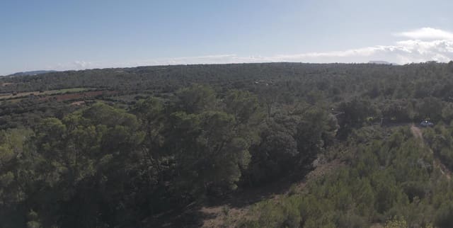 2 Zimmer Finca/Landgut zu verkaufen in Costitx mit Pool - 319.900 € (Ref: 9462059)