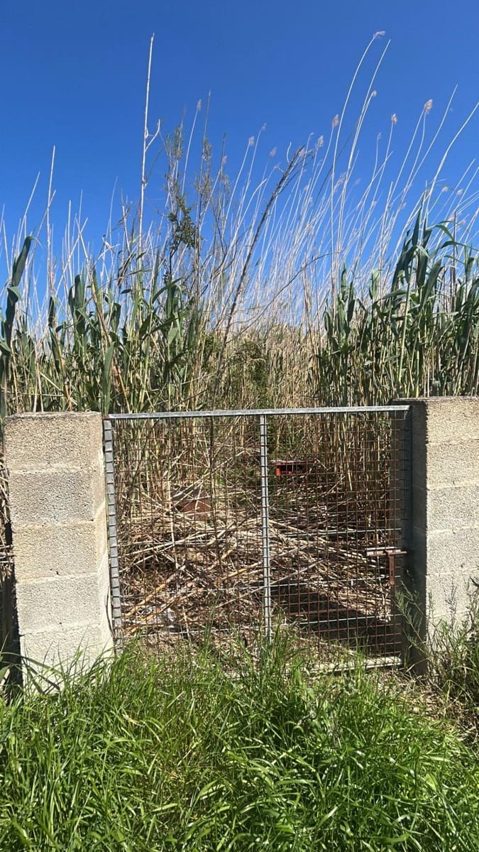 Undeveloped Land for sale in Sa Pobla - € 14,900 (Ref: 9735565)