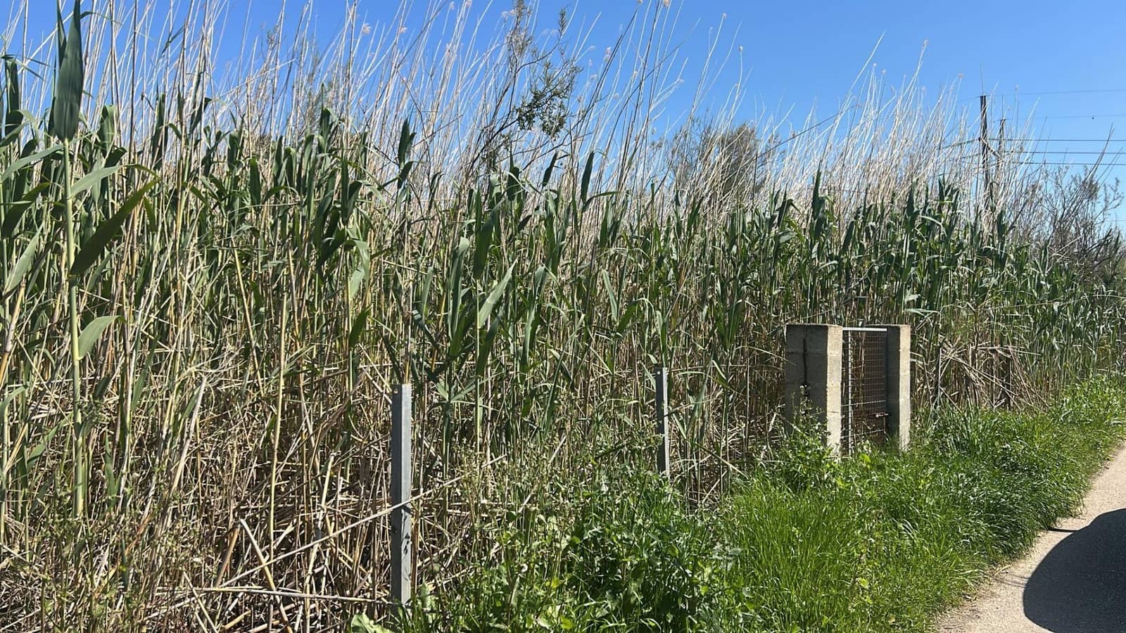 Undeveloped Land for sale in Sa Pobla - € 14,900 (Ref: 9735565)