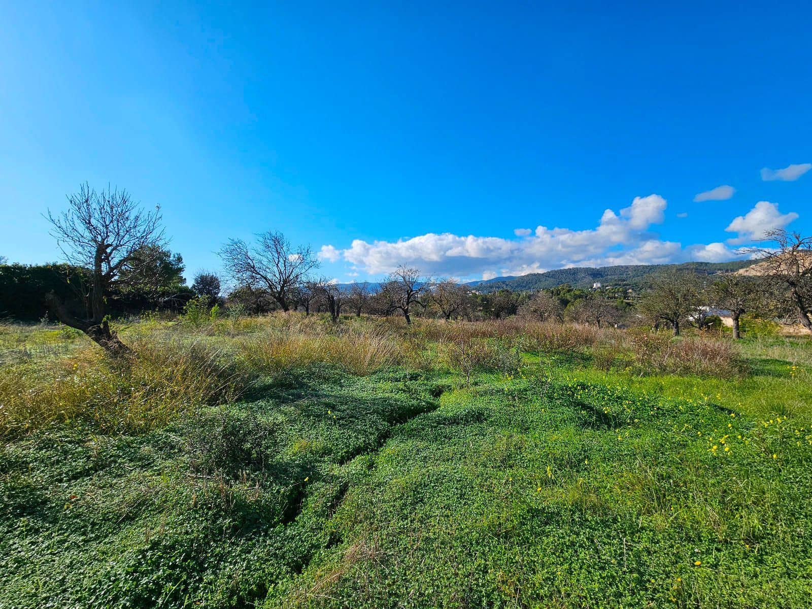 5 bedroom Villa for sale in Palma de Mallorca with garage - € 950,000 (Ref: 9780519)