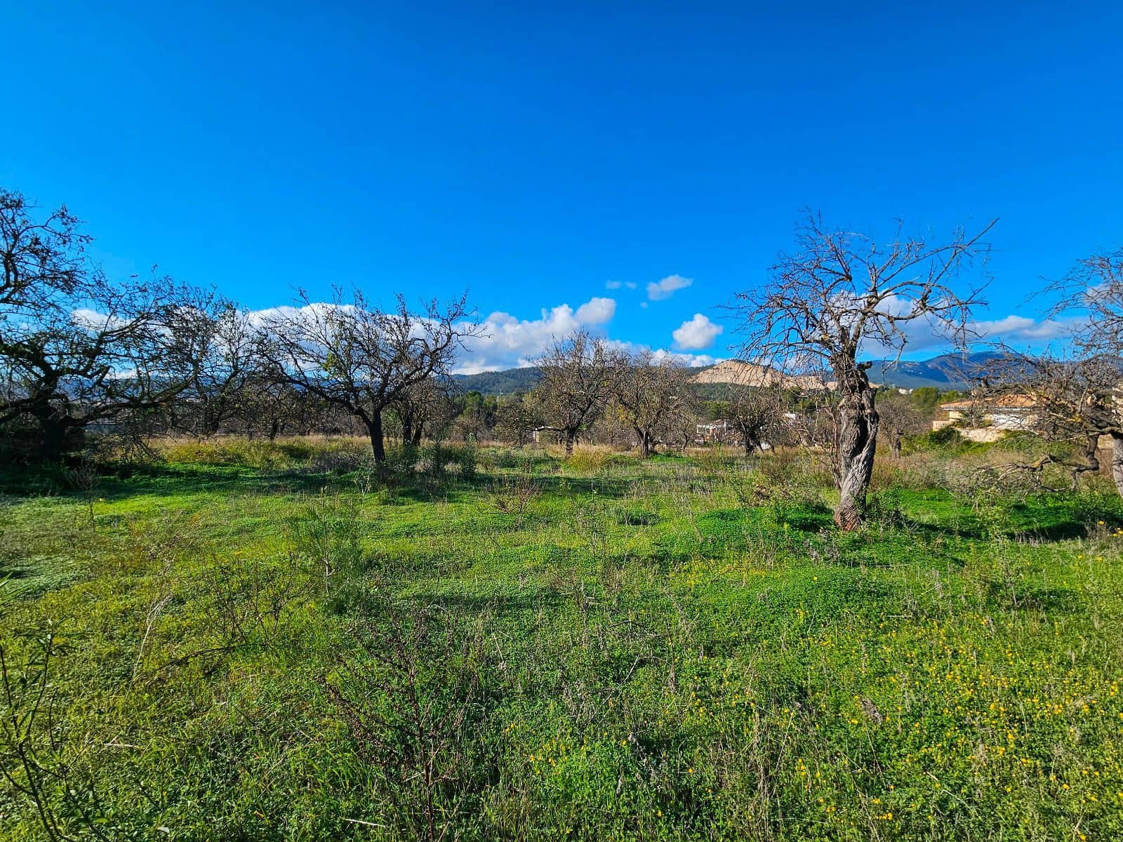 5 bedroom Villa for sale in Palma de Mallorca with garage - € 950,000 (Ref: 9780519)