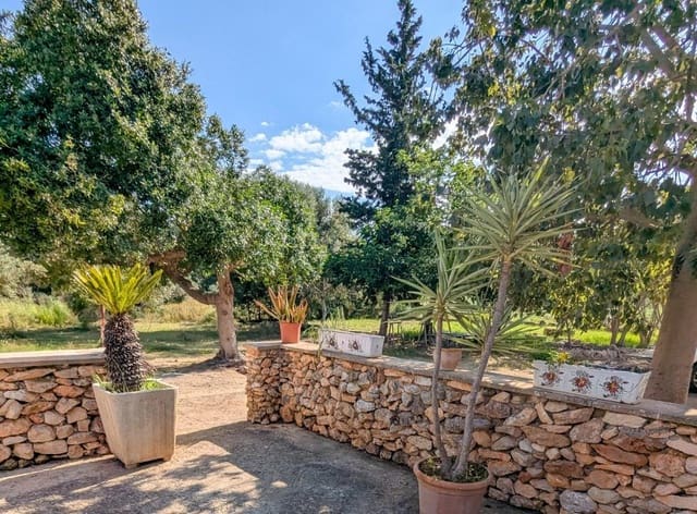 1 sypialnia Finka/Dom wiejski do wynajęcia w Muro - 1 250 € (Ref: 9794575)