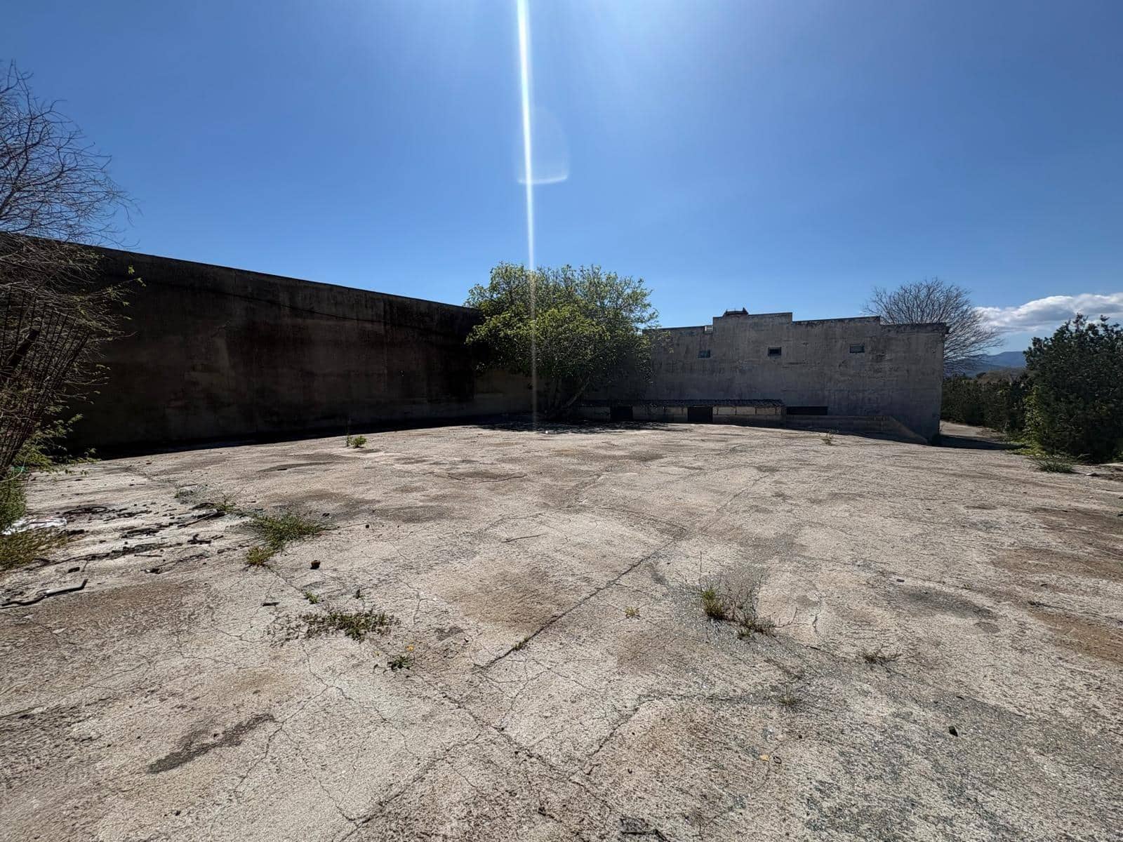 Business for sale in Muro - € 850,000 (Ref: 9831337)