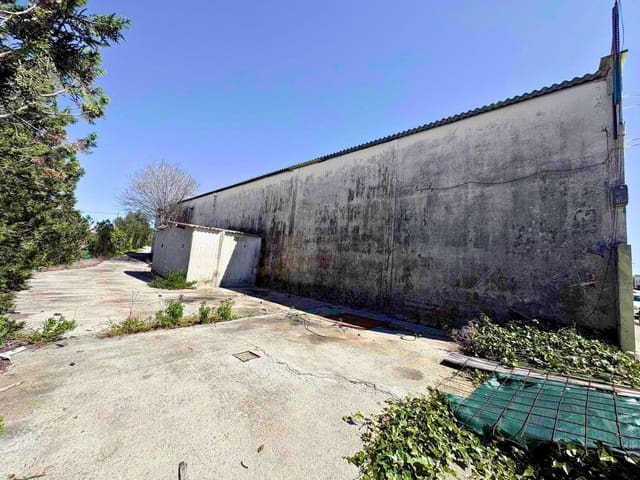 Business for sale in Muro - € 850,000 (Ref: 9831337)