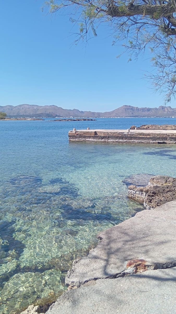 Erhverv til leje i Alcudia - € 4.500 (Ref: 9833632)