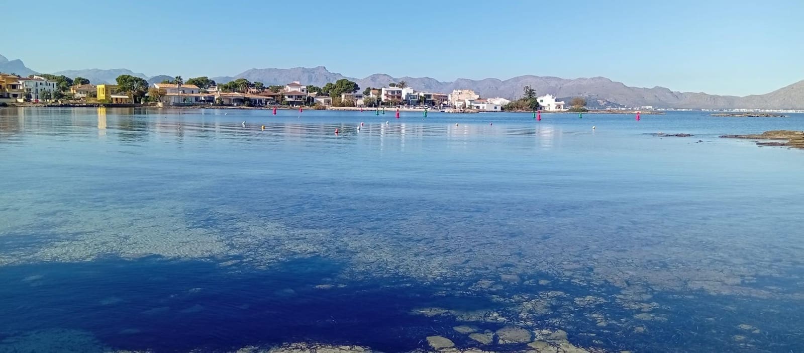 Erhverv til leje i Alcudia - € 4.500 (Ref: 9833632)