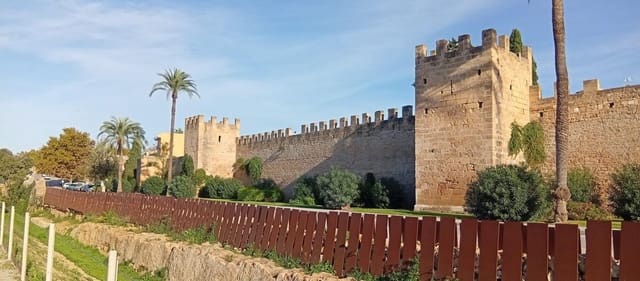 Erhverv til leje i Alcúdia - € 4.500 (Ref: 9833632)