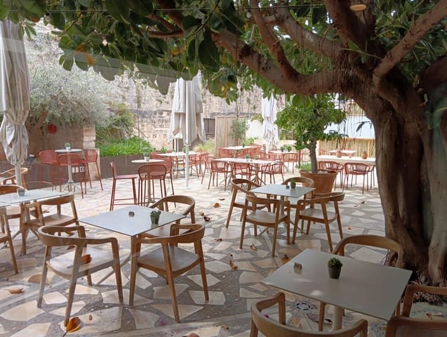 Erhverv til leje i Alcúdia - € 4.500 (Ref: 9833632)
