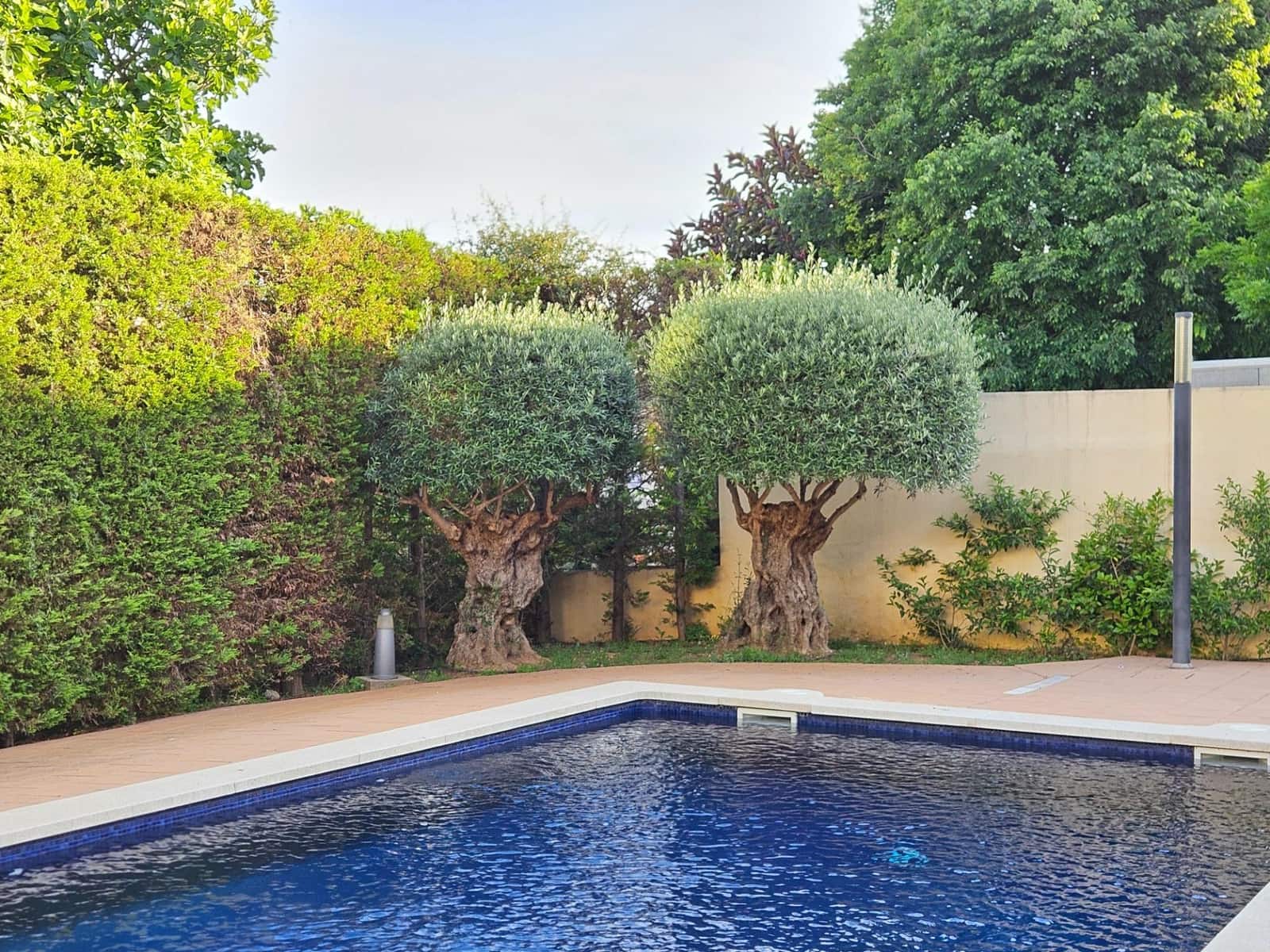 2 quarto Penthouse para venda em Lloseta com piscina garagem - 335 000 € (Ref: 9849335)