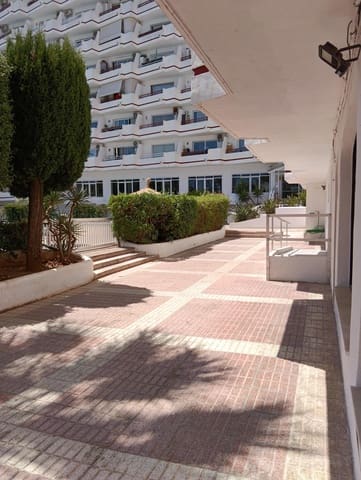 Kaupallinen myytävänä paikassa Platja d'Alcúdia, Alcúdia mukana uima-altaan - 215 000 € (Ref: 9907580)