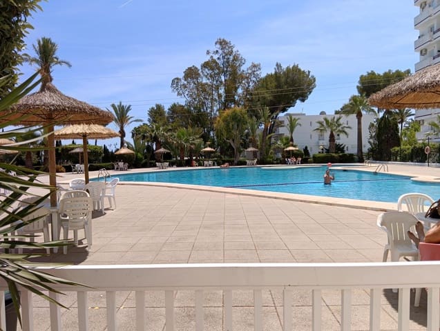 Kaupallinen myytävänä paikassa Platja d'Alcúdia, Alcúdia mukana uima-altaan - 215 000 € (Ref: 9907580)