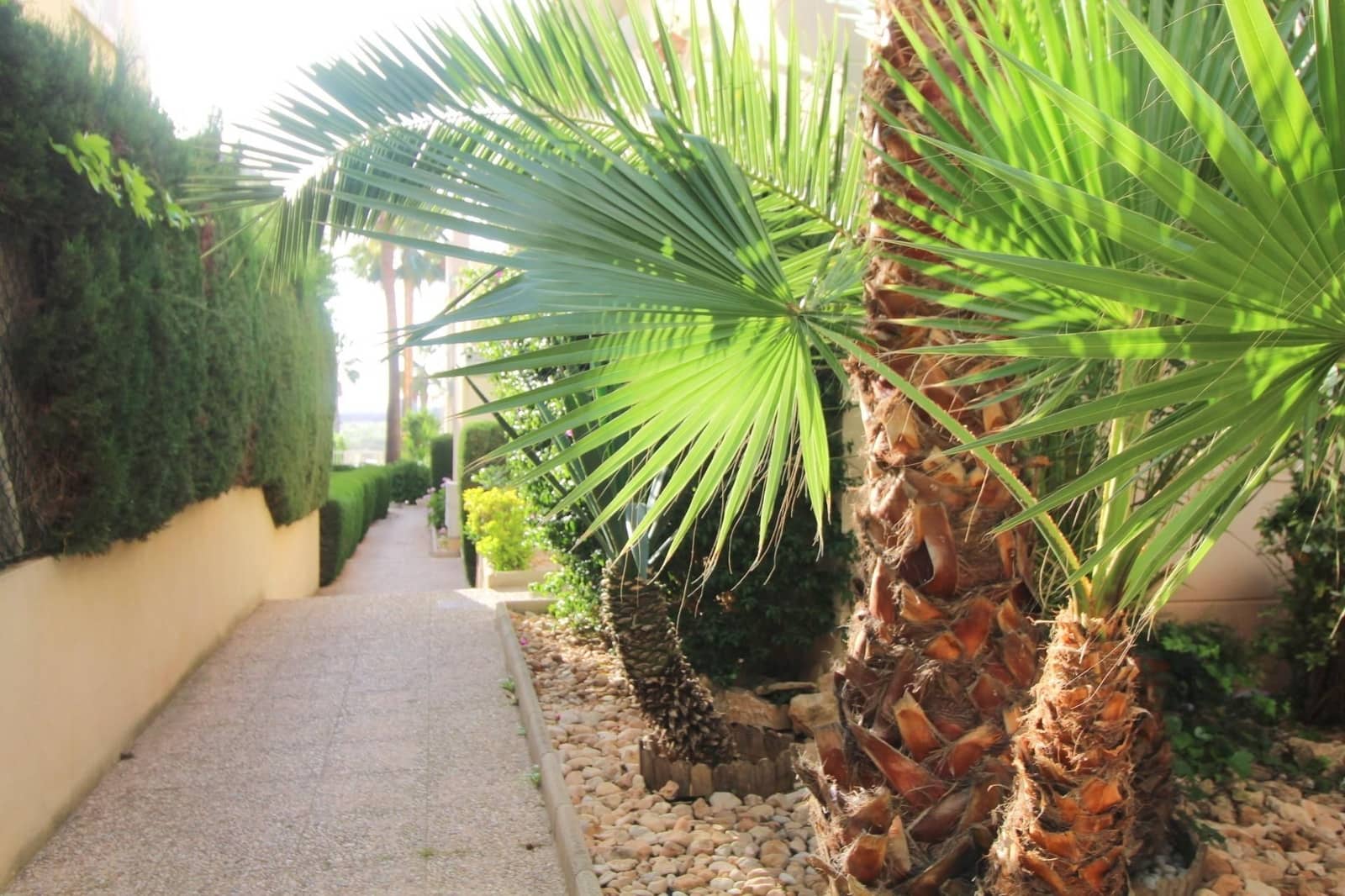 3 bedroom Apartment for sale in Torrevieja - € 230,000 (Ref: 9141404)