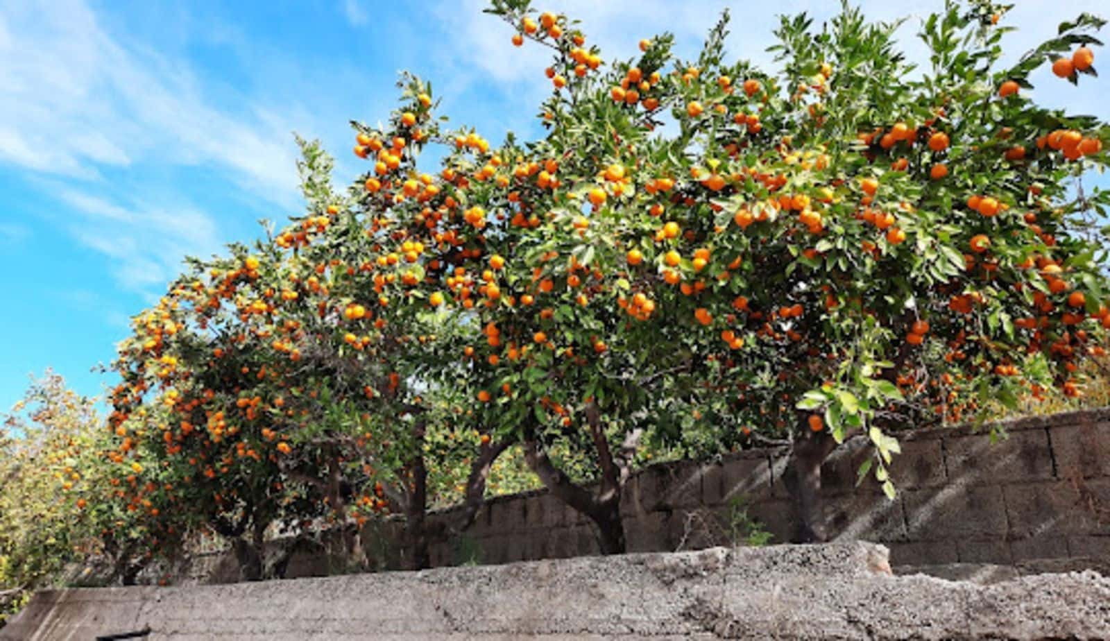 4 bedroom Villa for sale in Denia with pool garage - € 1,890,000 (Ref: 9029443)