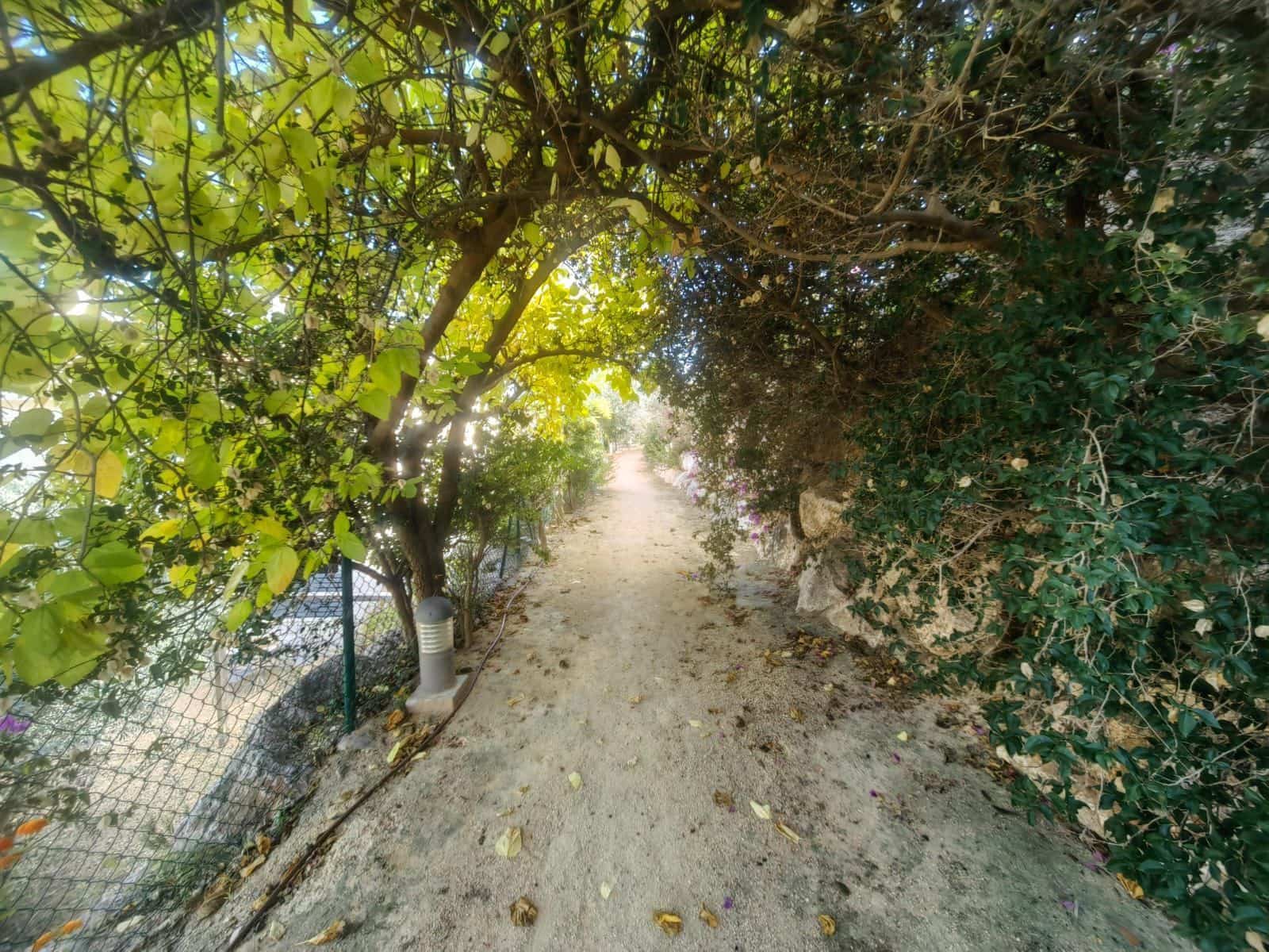 4 sovrum Semi-fristående Villa till salu i Teulada med pool garage - 460 000 € (Ref: 9367026)