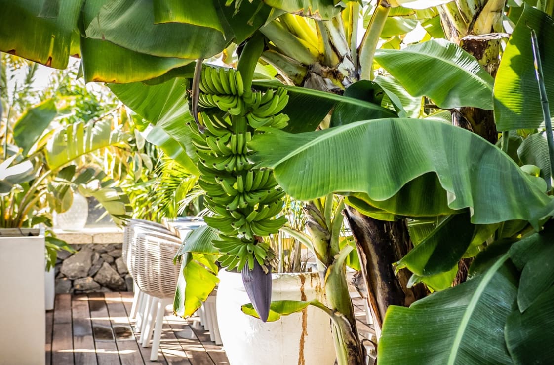 4 soveværelse Villa til salg i Costa Adeje med swimmingpool garage - € 1.590.000 (Ref: 8012768)