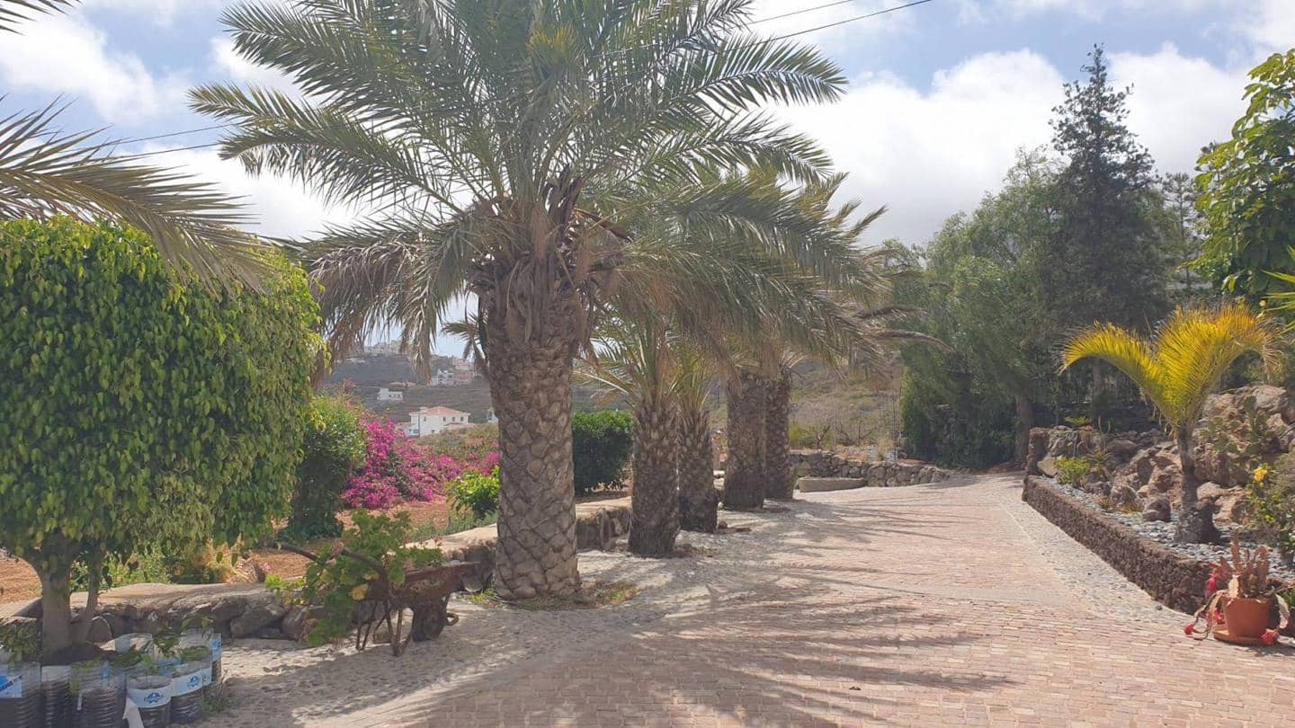 2 soveværelse Finca/Landehus til salg i Arona med swimmingpool garage - € 2.000.000 (Ref: 8309521)