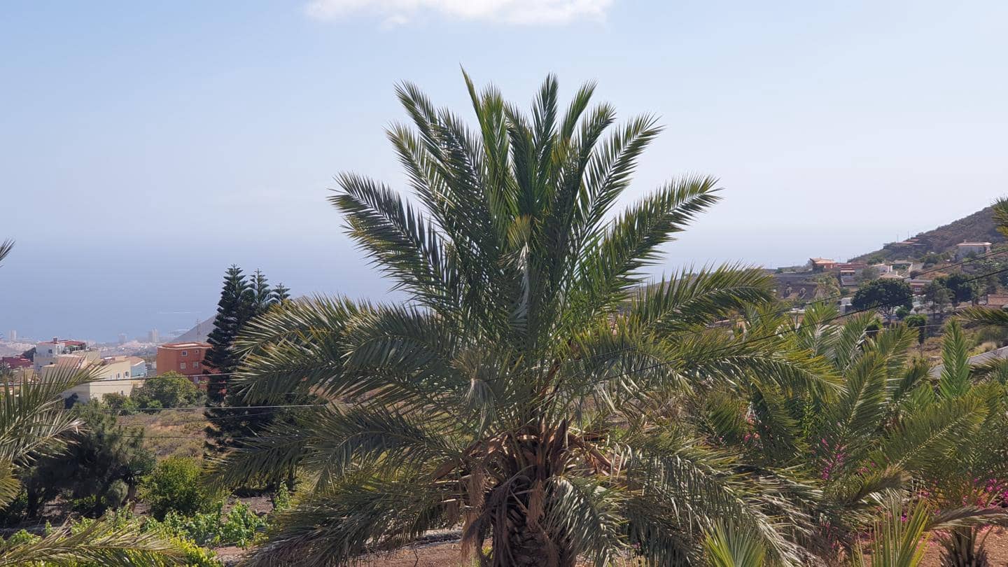 2 soveværelse Finca/Landehus til salg i Arona med swimmingpool garage - € 2.000.000 (Ref: 8309521)