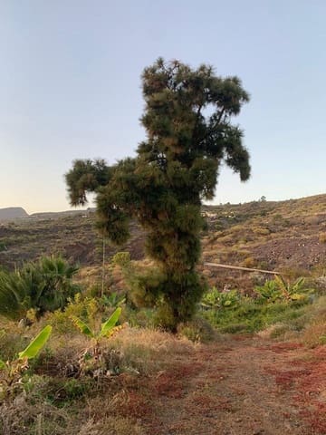 2 soveværelse Finca/Landehus til salg i Chio, Guía de Isora - € 1.050.000 (Ref: 8486874)