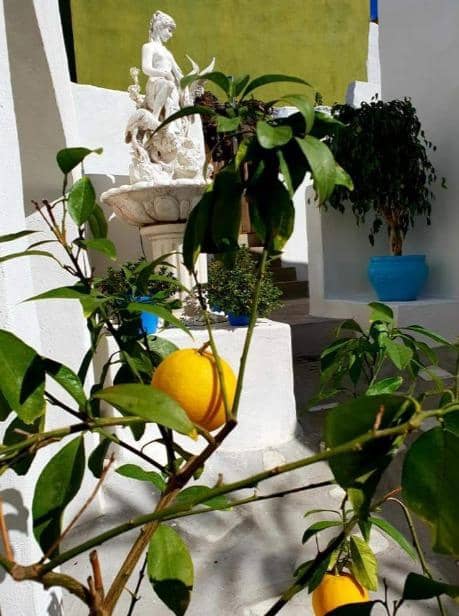 7 soveværelse Finca/Landehus til salg i Chio - € 319.000 (Ref: 9318059)