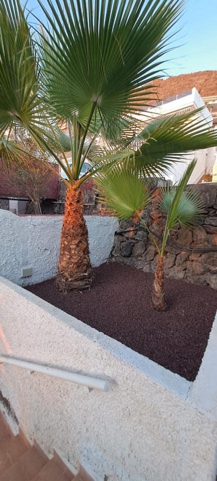 1 sypialnia Mieszkanie na sprzedaż w Los Gigantes - 250 000 € (Ref: 9378306)