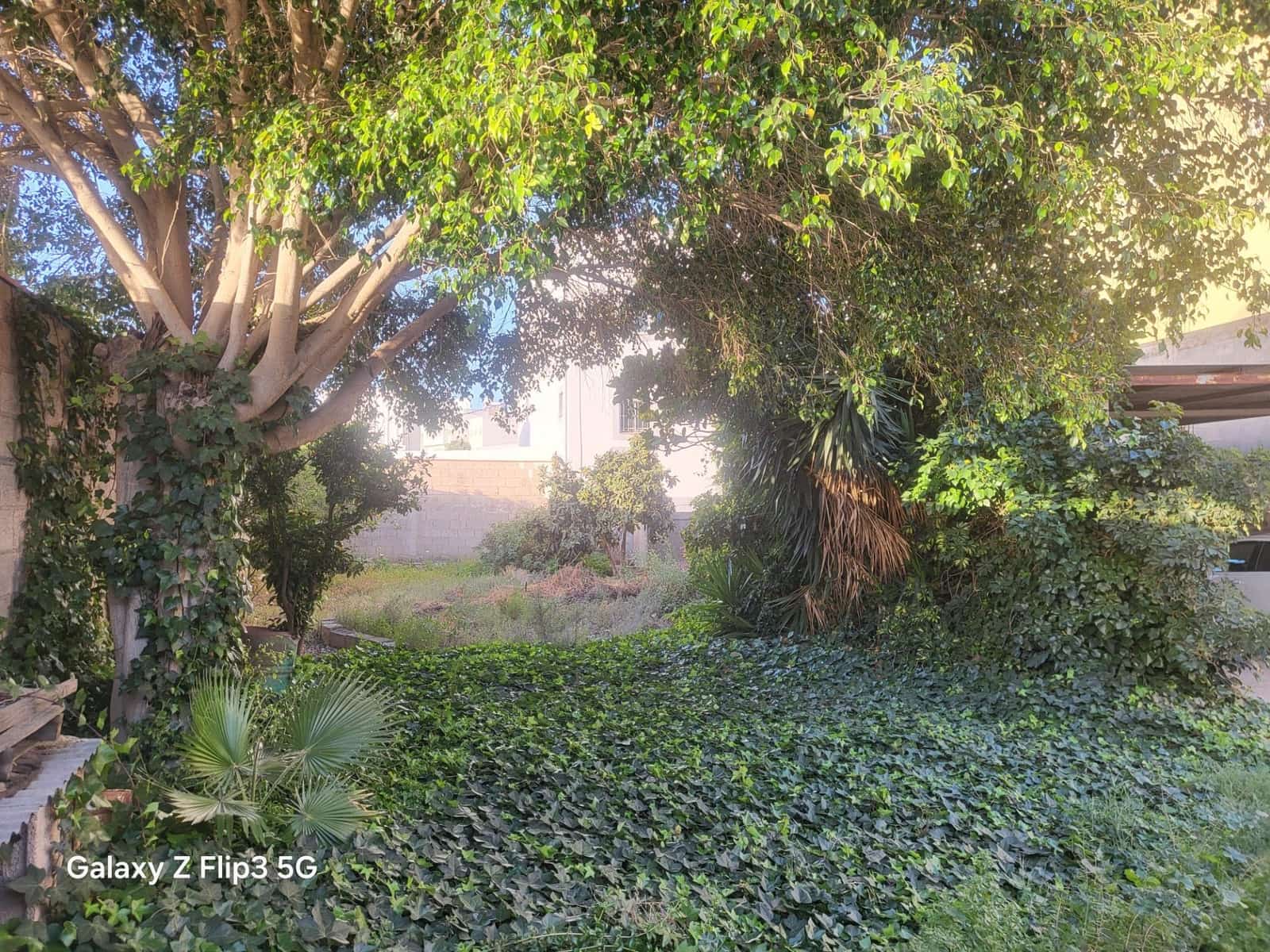 Solar/Parcela en Granadilla de Abona en venta - 450.000 € (Ref: 9814986)