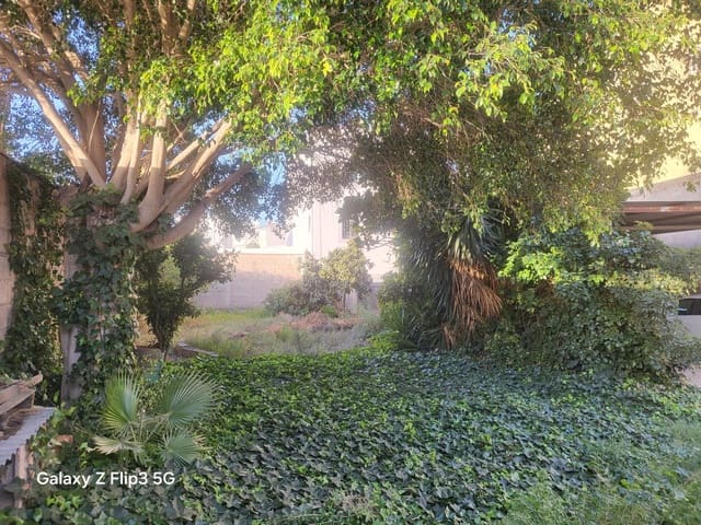 Solar/Parcela en Granadilla de Abona en venta - 450.000 € (Ref: 9814986)