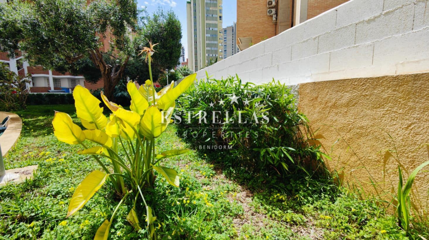 1 Zimmer Apartment zu verkaufen in Benidorm mit Pool Garage - 231.000 € (Ref: 9067498)