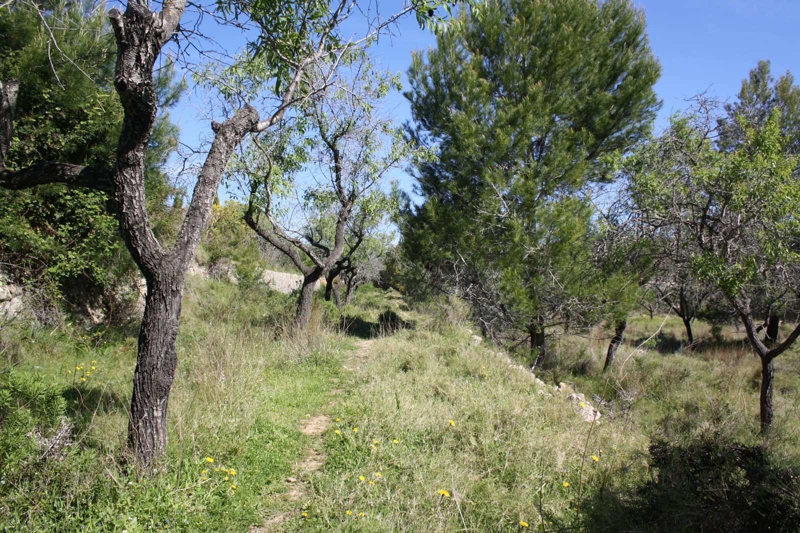 5 slaapkamer Villa te koop in Benissa - € 1.550.000 (Ref: 9068330)