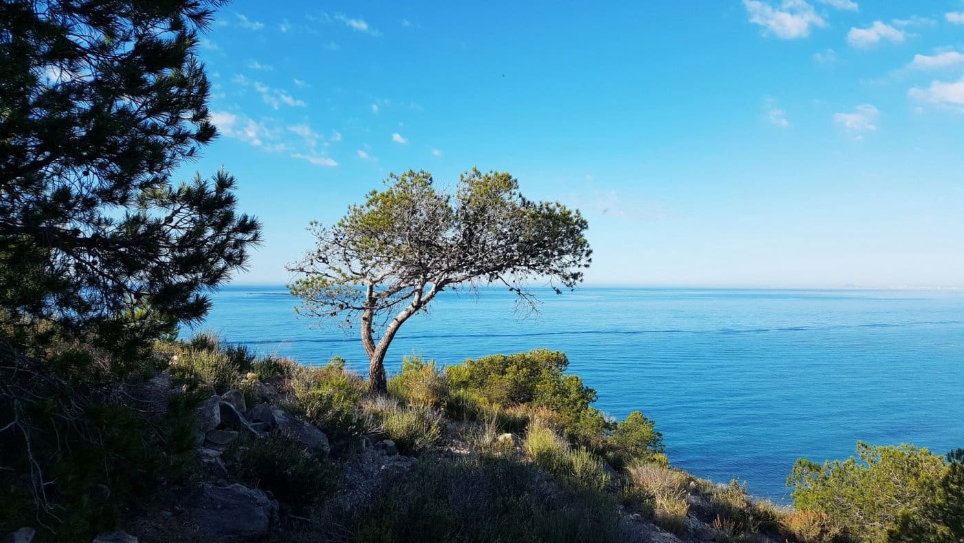 1 sypialnia Apartament na sprzedaż w La Villajoyosa / Vila Joiosa z basenem - 340 000 € (Ref: 9807011)