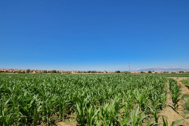 Quinta/Casa Rural para venda em Cúllar Vega - 70 000 € (Ref: 9787530)
