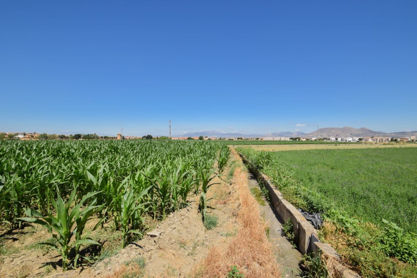 Finca/Country House for sale in Cullar Vega - € 70,000 (Ref: 9787530)