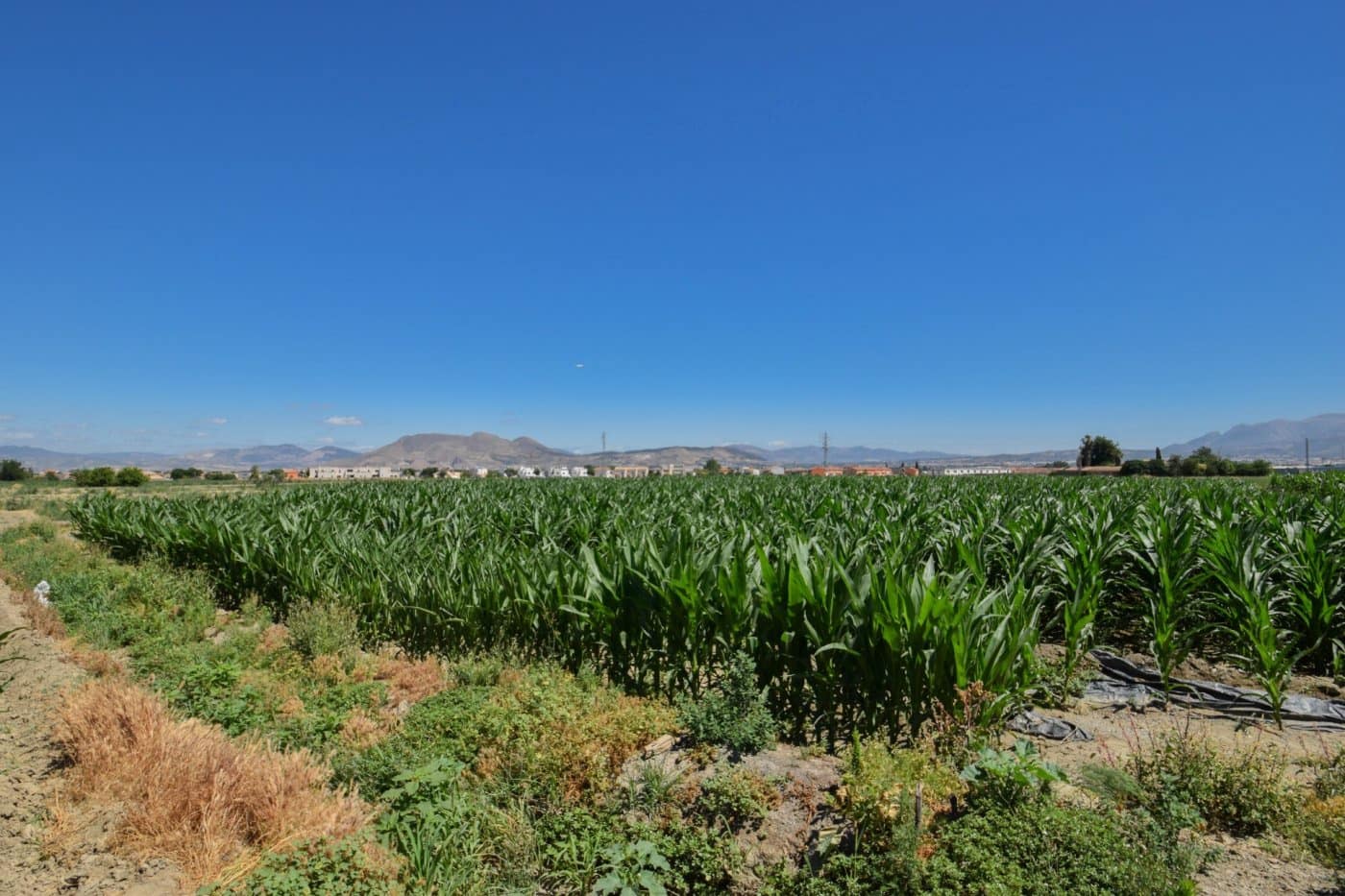 Finca/Country House for sale in Cullar Vega - € 70,000 (Ref: 9787530)