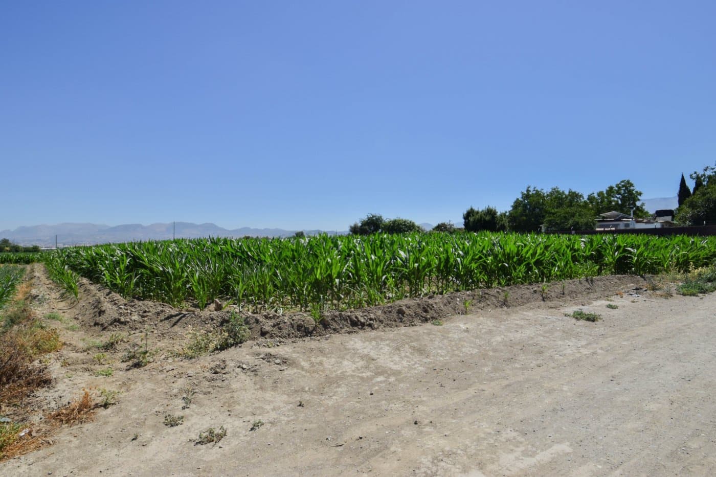 Finca/Country House for sale in Cullar Vega - € 70,000 (Ref: 9787530)