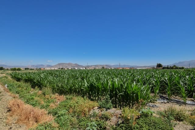 Quinta/Casa Rural para venda em Cúllar Vega - 70 000 € (Ref: 9787530)