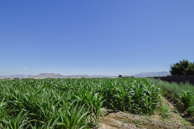 Quinta/Casa Rural para venda em Cúllar Vega - 70 000 € (Ref: 9787530)