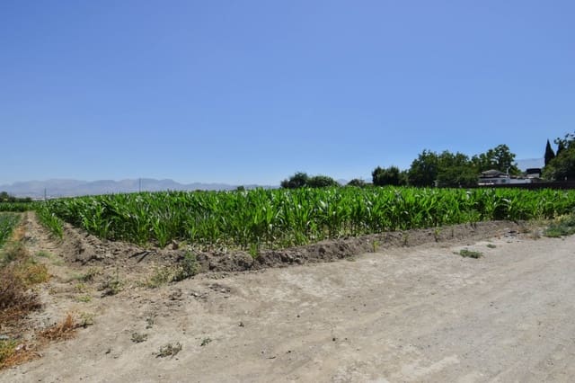 Quinta/Casa Rural para venda em Cúllar Vega - 70 000 € (Ref: 9787530)