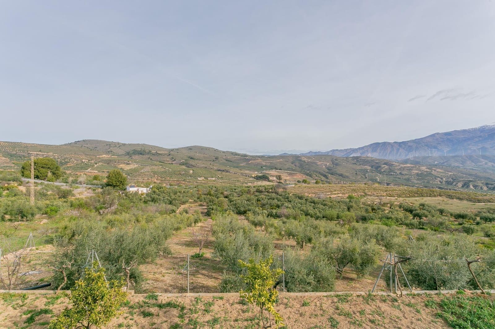 Finca/Casa Rural de 3 habitaciones en Albuñuelas en venta con piscina - 295.000 € (Ref: 9829094)