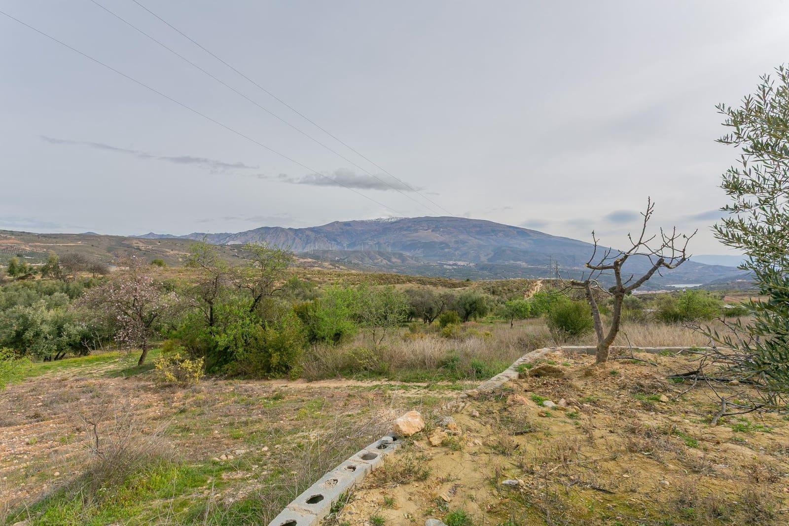 Finca/Casa Rural de 3 habitaciones en Albuñuelas en venta con piscina - 295.000 € (Ref: 9829094)