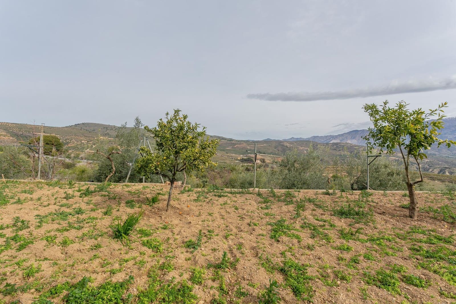 Finca/Casa Rural de 3 habitaciones en Albuñuelas en venta con piscina - 295.000 € (Ref: 9829094)