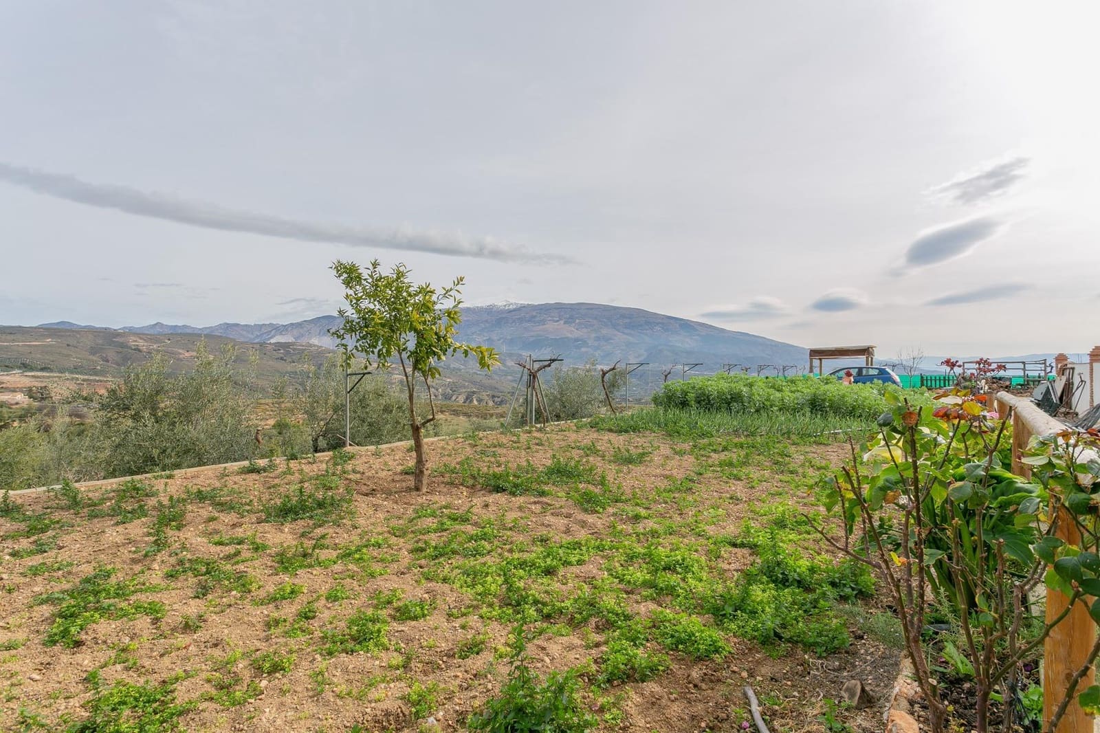Finca/Casa Rural de 3 habitaciones en Albuñuelas en venta con piscina - 295.000 € (Ref: 9829094)