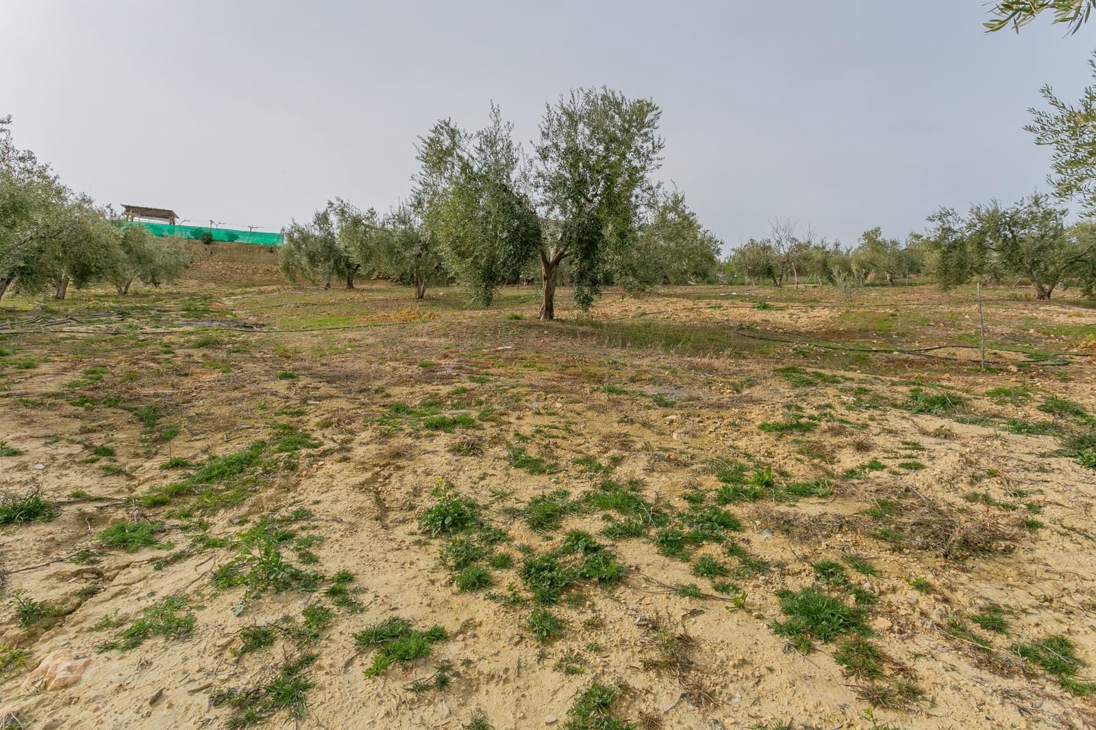 Finca/Casa Rural de 3 habitaciones en Albuñuelas en venta con piscina - 295.000 € (Ref: 9829094)